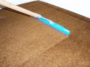 vacuuming carpet 
