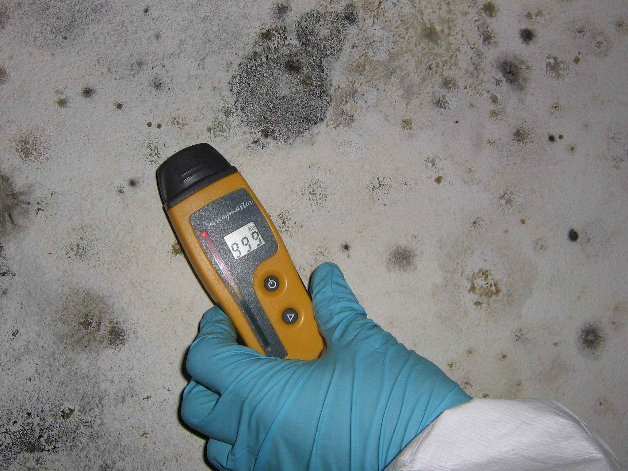 mold and testing equipment