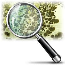 mold and magnifying glass 