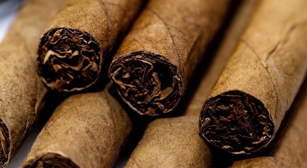 Cigar